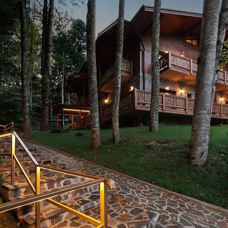 Chalet Royal Sinaia Exterior photo